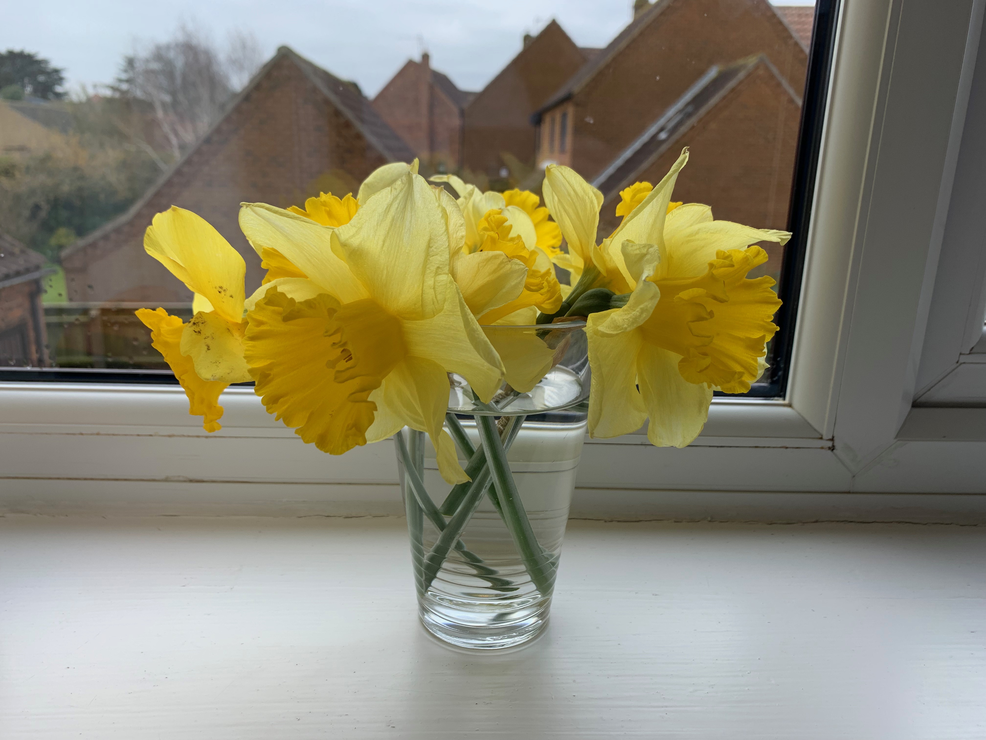 Nothing to see here.